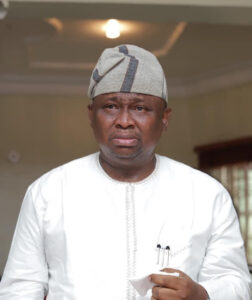 You’re Not Qualified To Run In Ogun – APC Elders To Lagos Senator