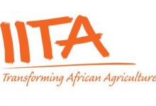 IITA Recruitment: Requirements, Salary structure, How to Apply