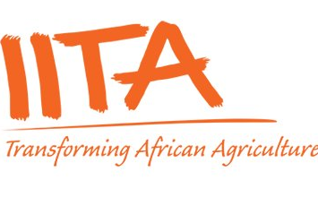 IITA Recruitment: Requirements, Salary structure, How to Apply