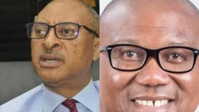  We Are Replacing Old Political Order – Utomi