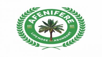 You’re not Working On How To Clear Terrorists – Afenifere Slams Buhari