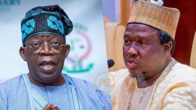 I’ve Lost All My Certificates, Tinubu’s Placeholders Tells INEC
