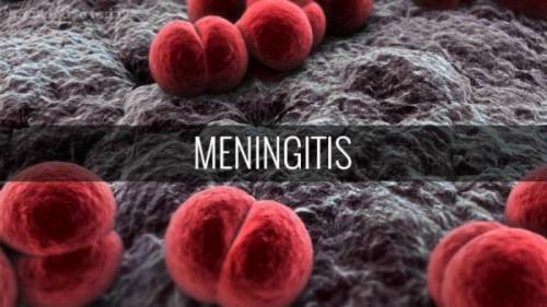 Residents Decries As Meningitis Kills 65 Children In Jigawa 