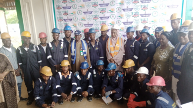 40,000 Trainees Graduate From NSIP’s N-Build Programme: Nigerian Govt
