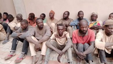 3,000 Abducted Victims Released In Zamfara – Official