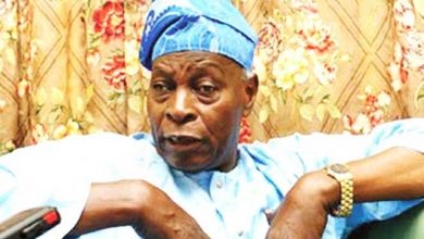 Terrorists Could Stop 2023 Elections From Holding - Falae