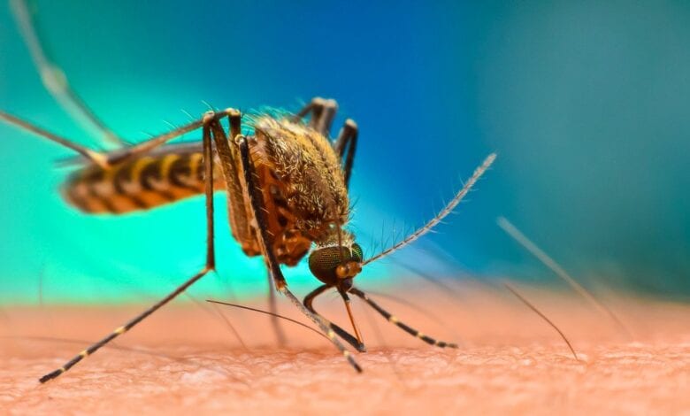 Top 15 Affordable Malaria Vaccine in Nigeria