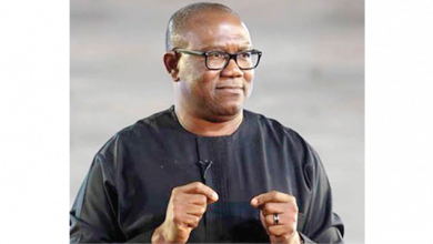 2023: Uche Jombo urges people not to fight over candidates, Declares support for Peter Obi
