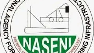 Insecurity: NASENI Commences Production Of Anti-ballistic Missiles, Bulletproof vests, Others