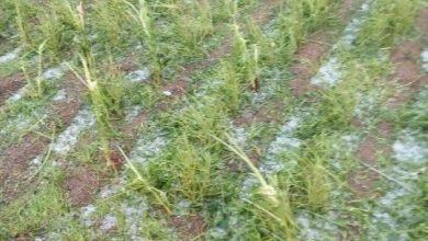 Katsina residents panic over two-day hailstorm