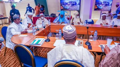Insecurity Challenge: Northern Governors Support State Police 