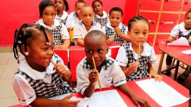Top 15 Primary School Rankings in Nigeria