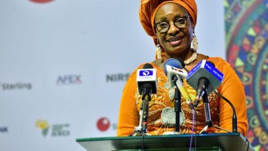 Nigerian Govt To Collaborate With UN Women On Digital Farming