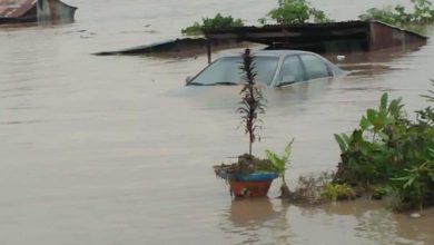 Flood, windstorm kill 75, displace 6,592 persons in Yobe – SEMA