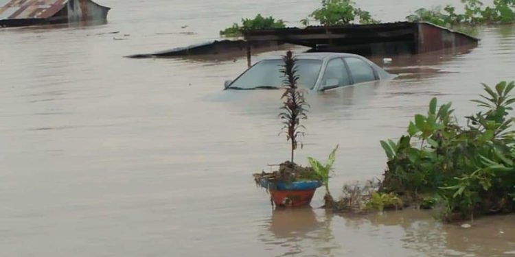 Flood, windstorm kill 75, displace 6,592 persons in Yobe – SEMA