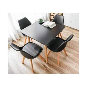 Beechwood Dining Table + 4 Sitting Padded Plastic Chairs