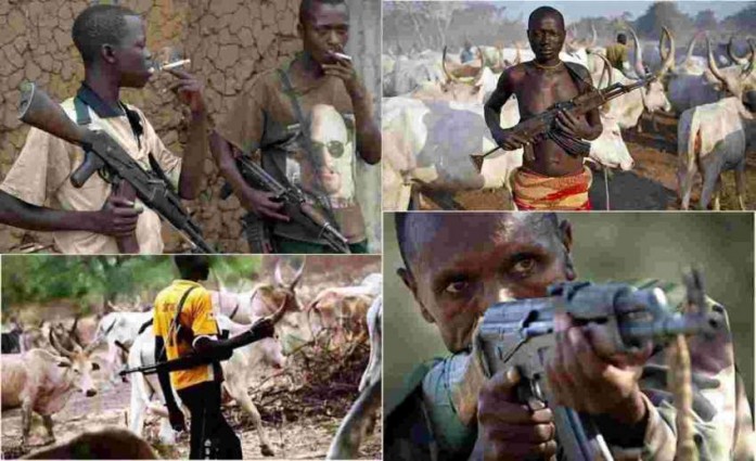 Bandits kill nine Tiv farmers, herdsmen deny involvement