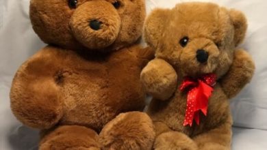 20 Kids Stuffed Animals and Teddy Bears to Buy / Prices in Nigeria