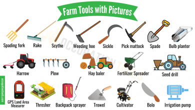 Common Farm Tools and Equipment: Names, and uses