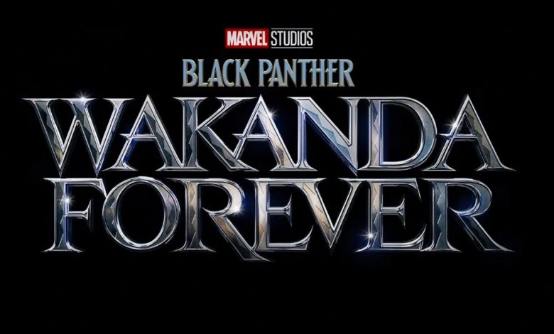 Wakanda Forever: Marvel confirms identity of Black Panther in official trailer