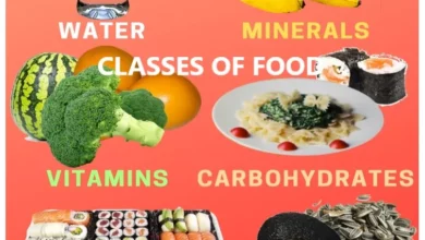 Classes of food with examples and functions - be in the know