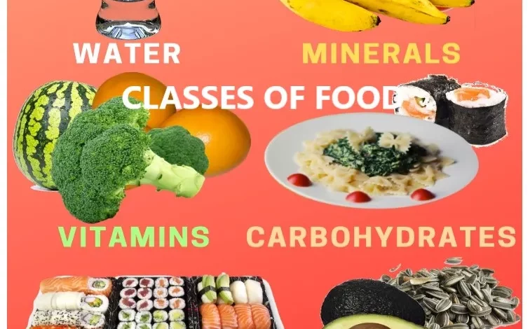 Classes of food with examples and functions - be in the know