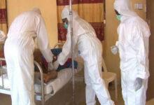 Lassa fever deaths hit 178, cases now 989