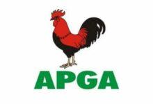 Court nullifies Abia APGA guber primary, orders fresh election