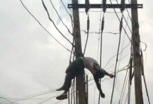 Abuja man electrocuted while stealing high-tension wire