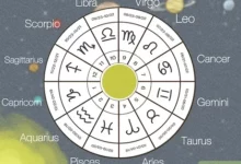 What Is An Astrologers Definition?