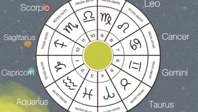 What Is An Astrologers Definition?