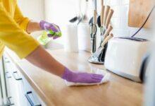 Housekeeper Job Description and Roles/Responsibilities, Qualifications