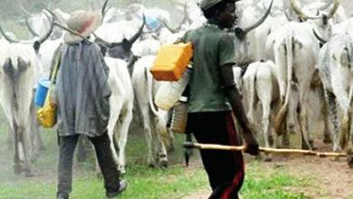 10 Ways to Tackle Farmers and Herders Crises in Nigeria
