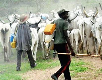 10 Ways to Tackle Farmers and Herders Crises in Nigeria