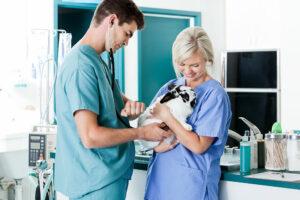 Duties of A Veterinary Technician