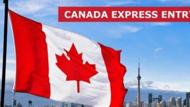 Canada Express Entry Requirements and How to Apply