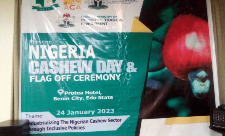 ‘Nigeria earns $250m cashew export’