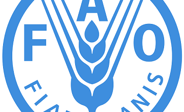 FAO-UN Job Recruitment