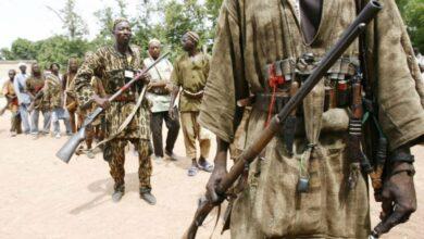 We can help end banditry, we only need Zamfara govt support – Hunters