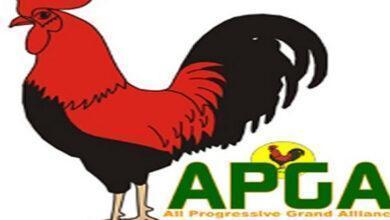 APGA Elects New National Chair, Reconstitutes Board 
