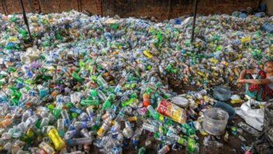 Alliance Seeks Ban on Single-Use Plastic