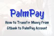How To Transfer Money From GTBank To Palmpay Using GTBank App