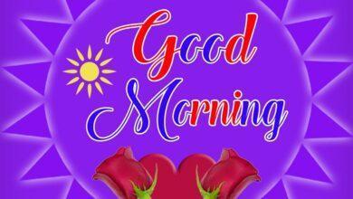 200+ Best Good Morning Messages for Friend