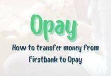 How To Transfer Money From Zenith Bank To Opay
