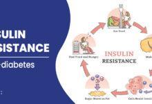 MOTS-c Insulin Resistance Effects