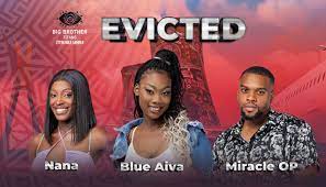BBTitans: Miracle OP, Blue Aiva & Nana Evicted From Big Brother Titans