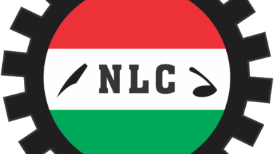 We’re Used To Promises – NLC Slams Tinubu’s Speech