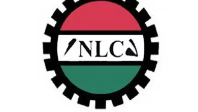 Structure Of Nigeria Labour Congress