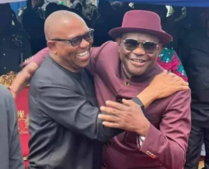 I never worked against Peter Obi, other southern candidates – Wike
