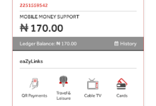 How To Transfer From Zenith Bank To GTbank